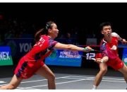 开云官网-丹麦队力克德国队，郑思维点燃赛场的简单介绍