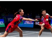 开云官网-丹麦队力克德国队，郑思维点燃赛场的简单介绍