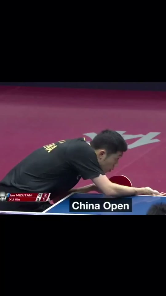 日本乒乓球队横扫波兰乒乓球队,许昕完成帽子戏法的简单介绍 日本乒乓球队横扫波兰乒乓球队,许昕完成帽子戏法的简单介绍