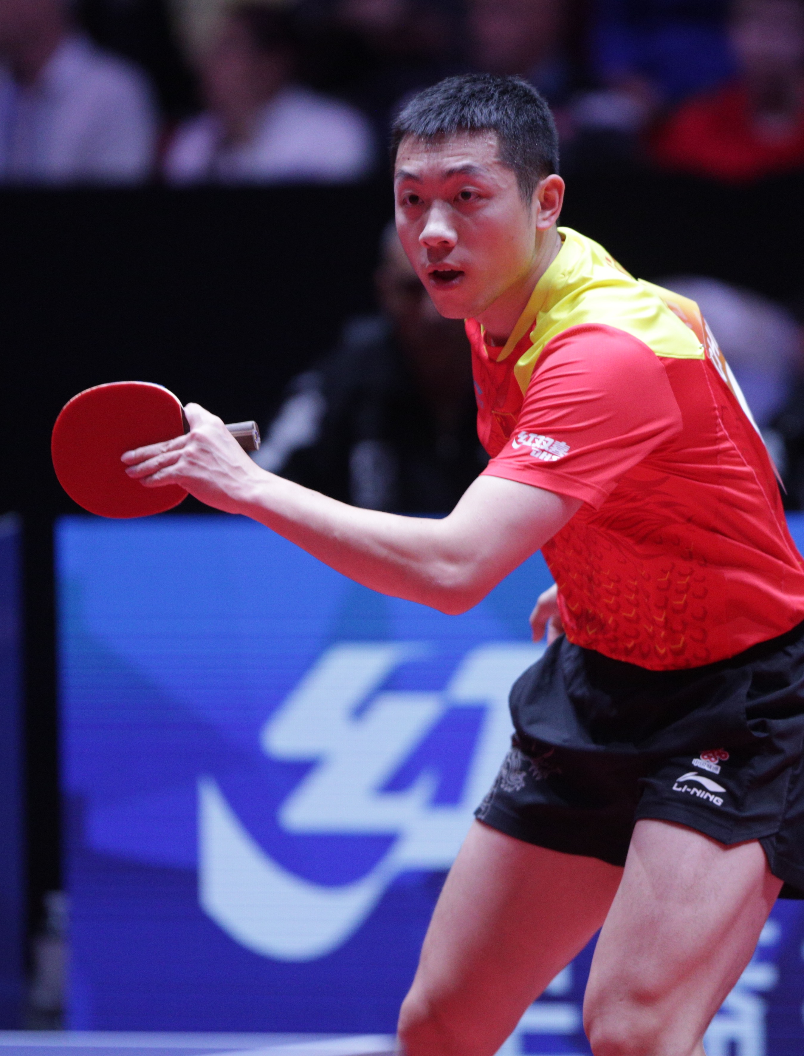 德国乒乓球队血洗中国乒乓球队,许昕关键制胜的简单介绍 德国乒乓球队血洗中国乒乓球队,许昕关键制胜的简单介绍