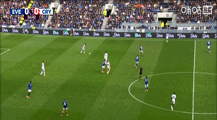 关于水晶宫击败埃弗顿,英超保级前景一片大好的信息 关于水晶宫击败埃弗顿,英超保级前景一片大好的信息