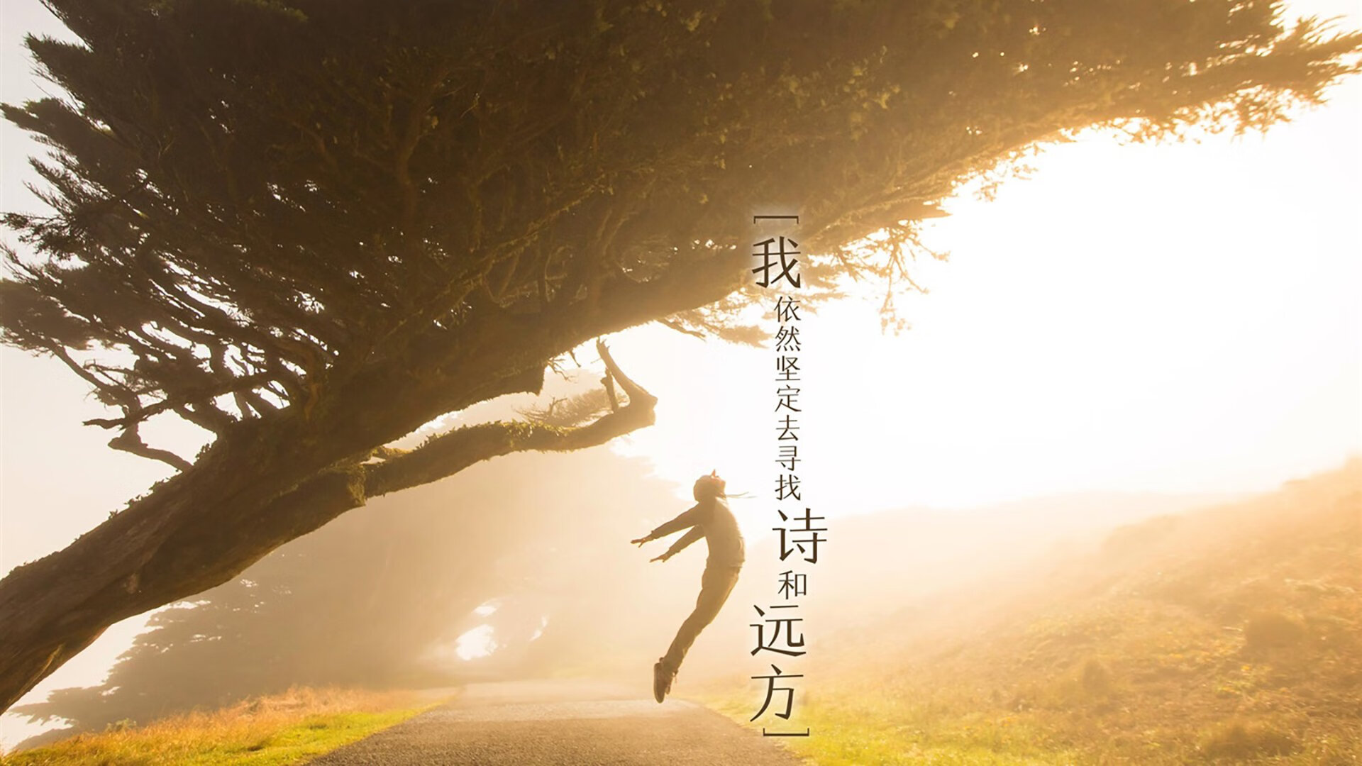 年度焦点之战，苏格兰压哨绝杀，戏剧性击败巴拉圭